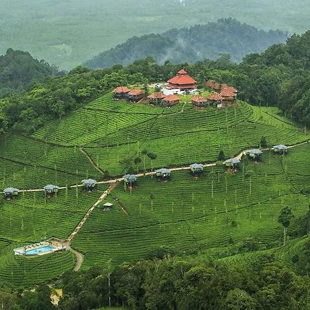 Wild Planet Jungle Resort Devala Bagian luar foto