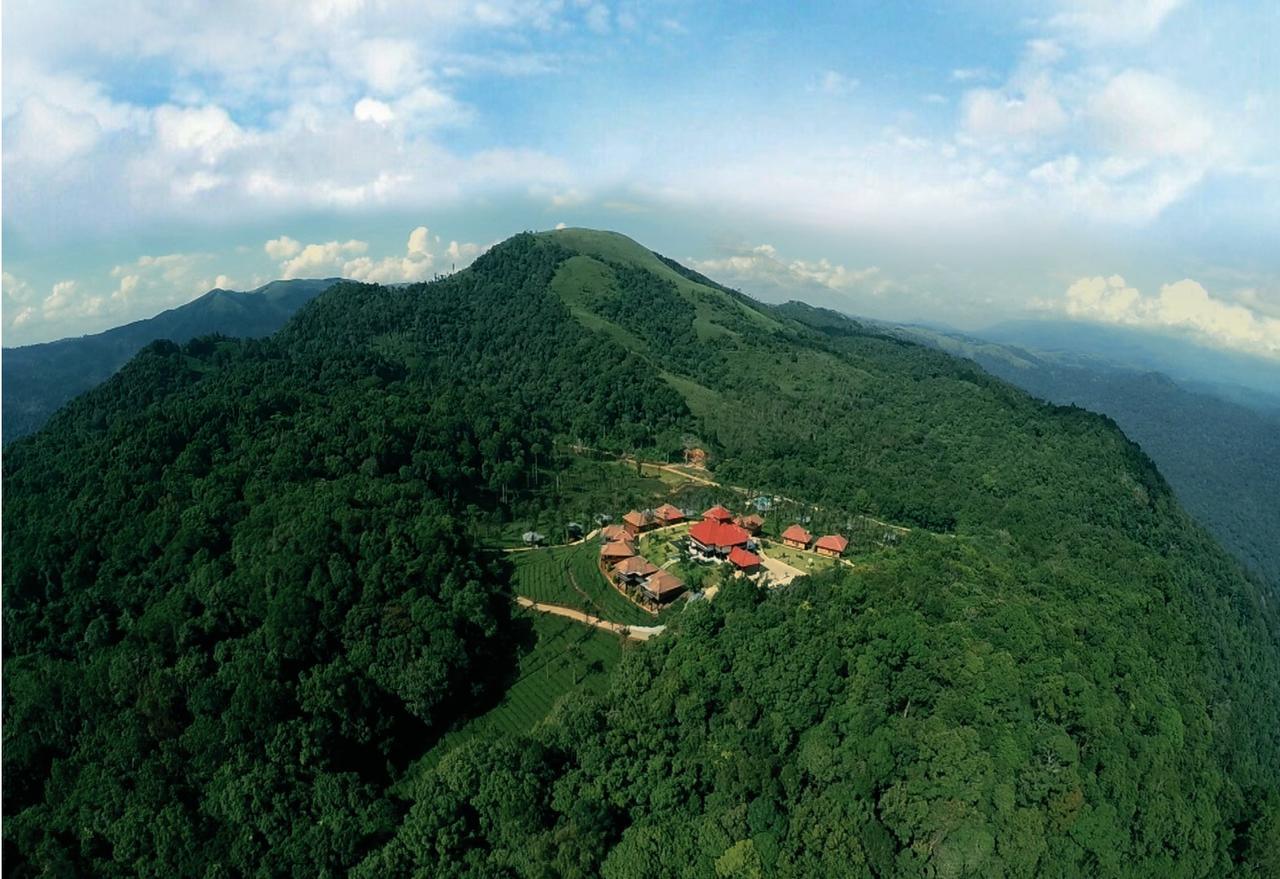 Wild Planet Jungle Resort Devala Bagian luar foto